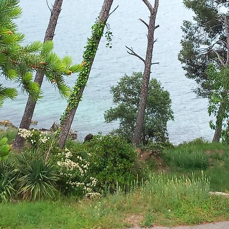 Chambre D Hote Les Heures Claires Istres Luaran gambar