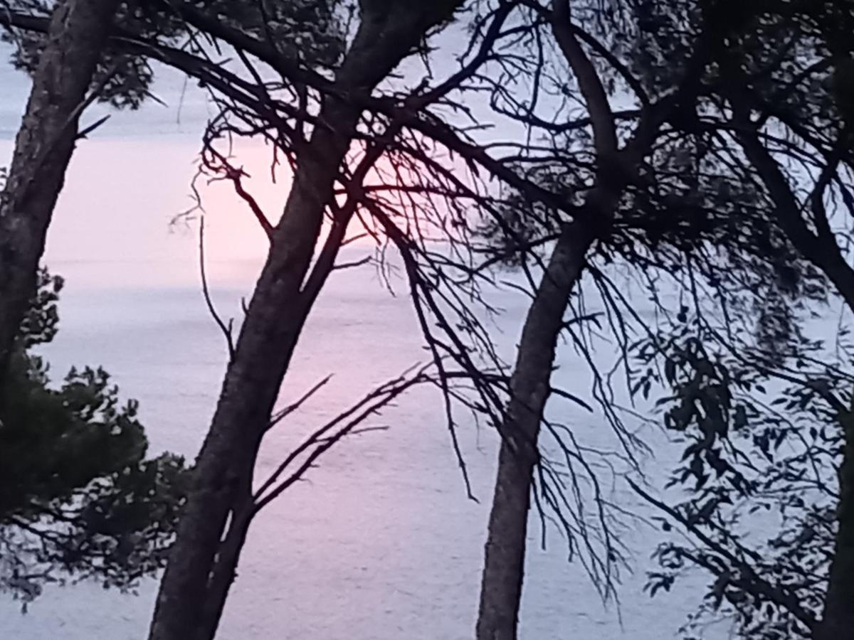Chambre D Hote Les Heures Claires Istres Luaran gambar
